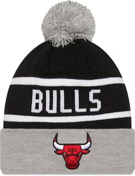 Chicago Bulls NBA Jake čepice