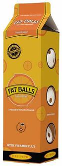Fat Pipe Floorball Can 3ks míčky