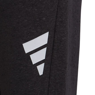 Future Icons 3-Stripes sportovní kalhoty